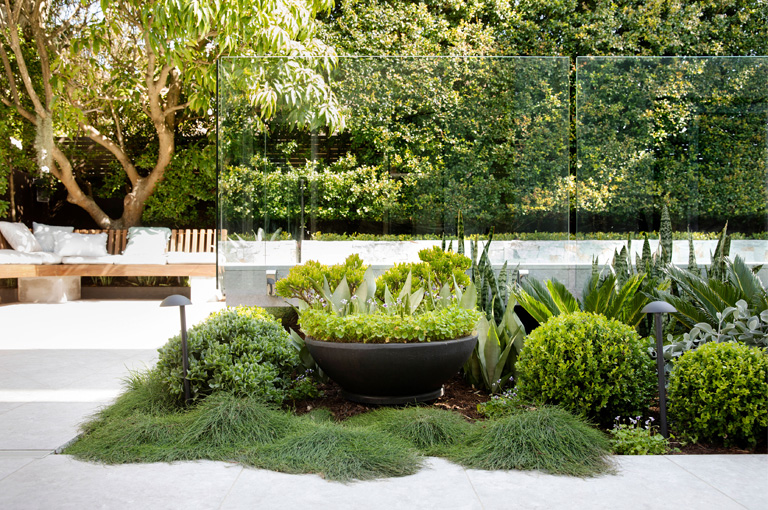 Growingrooms1
