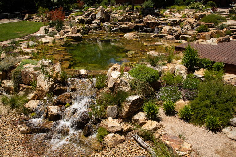 Sawaterscapes1